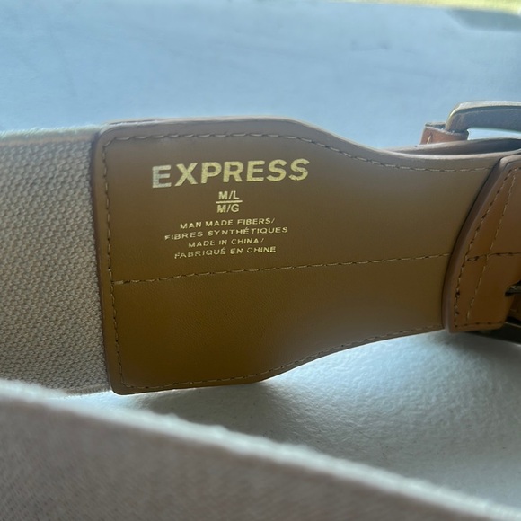 Express Tan and Gray Belt Bag Versatile and Stylish - Picture 3 of 7